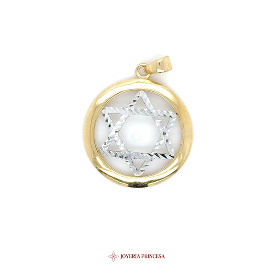 10K Star of David Pendant with Circle Frame